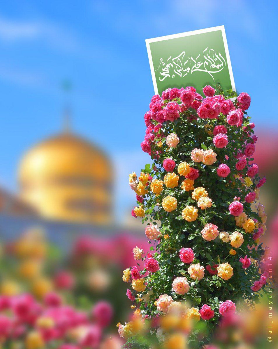 Haydar_smigle's tweet photo. #مولد_أنيس_النفوس_والقلوب
#مولد_الإمام_الرضا_التقي
🩵١١ ذو القعدة/ 148 هـ
ولد في المدينة المنوّرة🩵
رزقنا الله وإياكم زيارته في الدنيا وشفاعته في الآخرة
#الشفاعة_يامولاي_ياغريب_طوس
#فريق_الإعلام_للرضا_خدام https://t.co/DCT3hBvcMp
