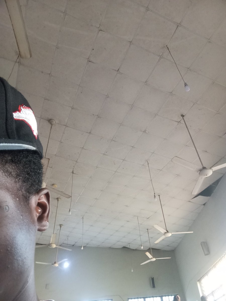 Steve ◈ tweet media