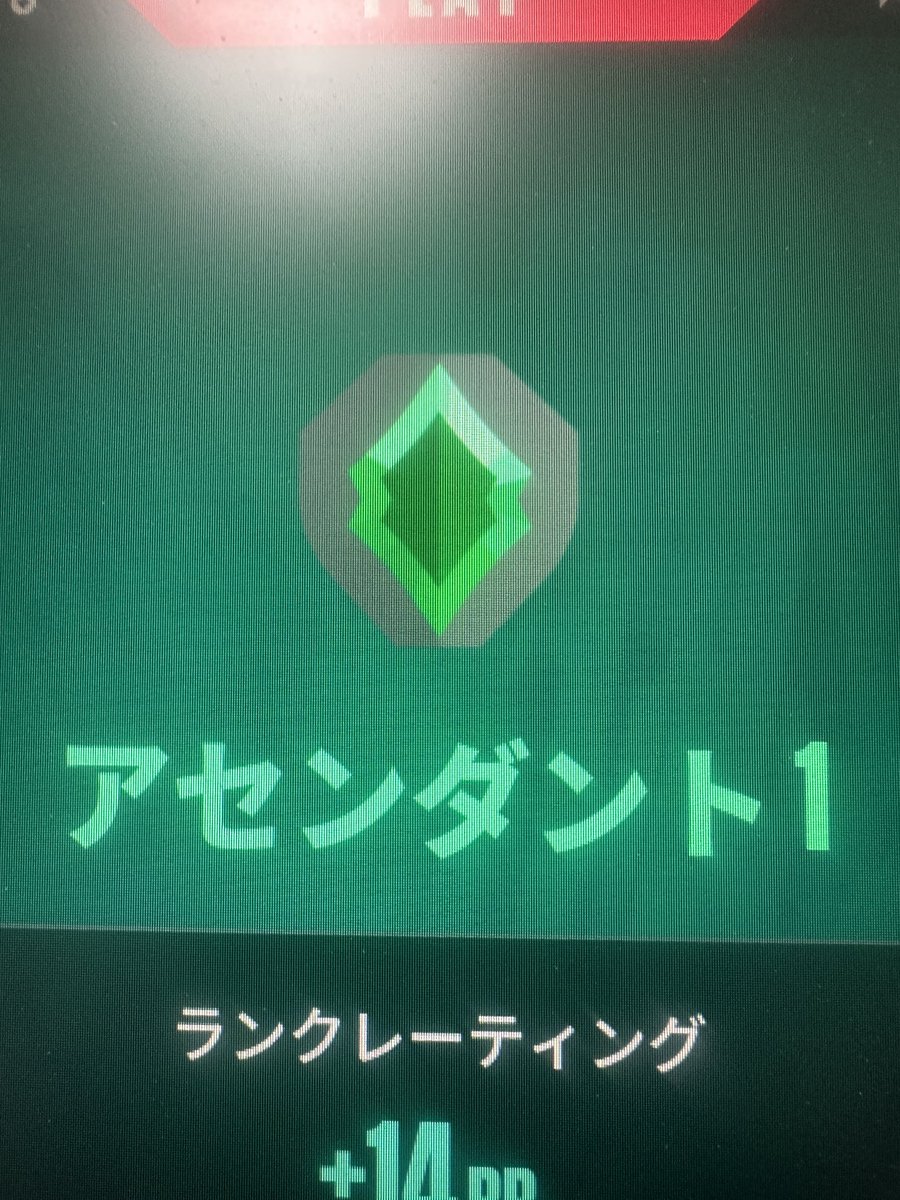 ただの浜田 tweet media