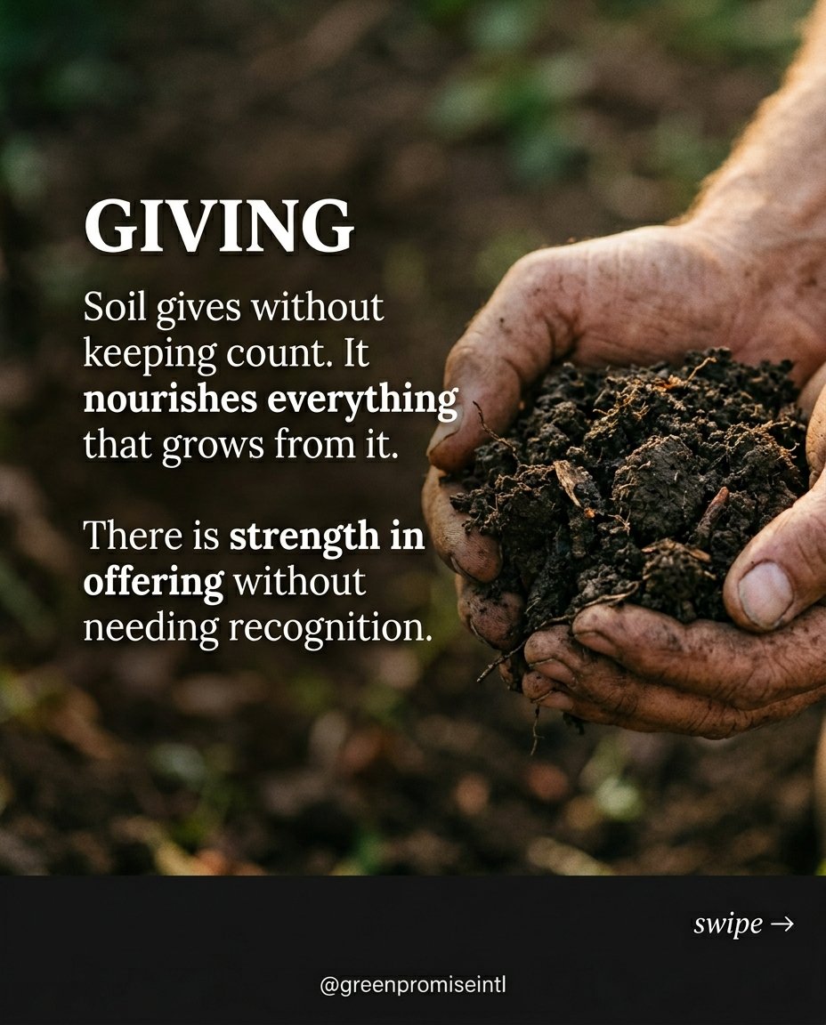 greenpromiseint's tweet image. There is something quiet about soil.

It is rarely seen, yet nothing grows without it.

It transforms what falls into life, slowly, without recognition.

Growth does not begin in the light. It begins below.

#Nature #Soil #Growth #Reflection