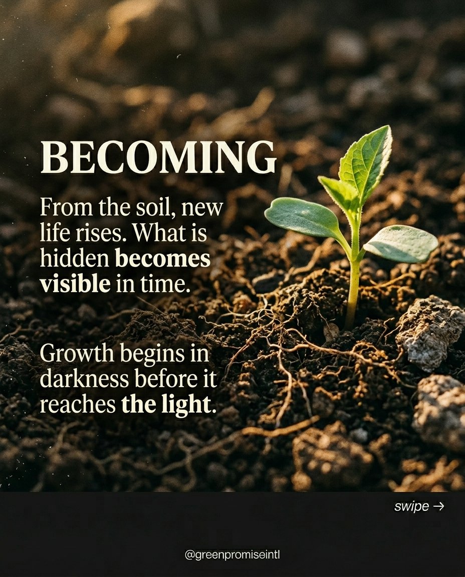 greenpromiseint's tweet image. There is something quiet about soil.

It is rarely seen, yet nothing grows without it.

It transforms what falls into life, slowly, without recognition.

Growth does not begin in the light. It begins below.

#Nature #Soil #Growth #Reflection