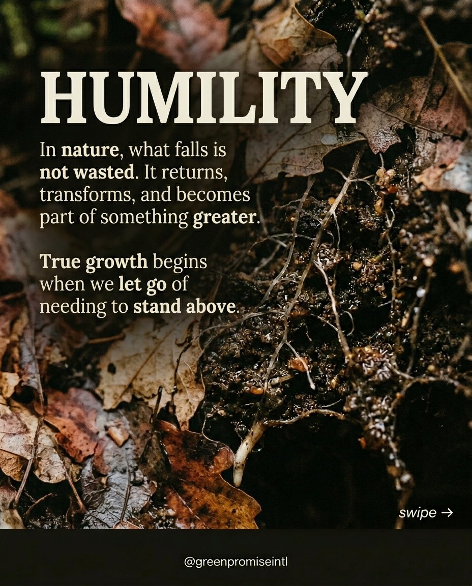 greenpromiseint's tweet image. There is something quiet about soil.

It is rarely seen, yet nothing grows without it.

It transforms what falls into life, slowly, without recognition.

Growth does not begin in the light. It begins below.

#Nature #Soil #Growth #Reflection