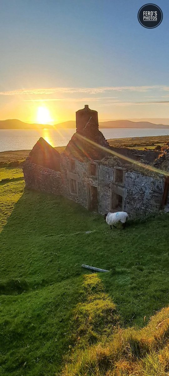 ThisIsIreland3's tweet image. There's nowhere quite like Ireland 🇮🇪

📍County Kerry-Ireland ☘️

📸 Ferd's Photos

#Ireland #Kerry #Sunset #Wildatlanticway #Sheep