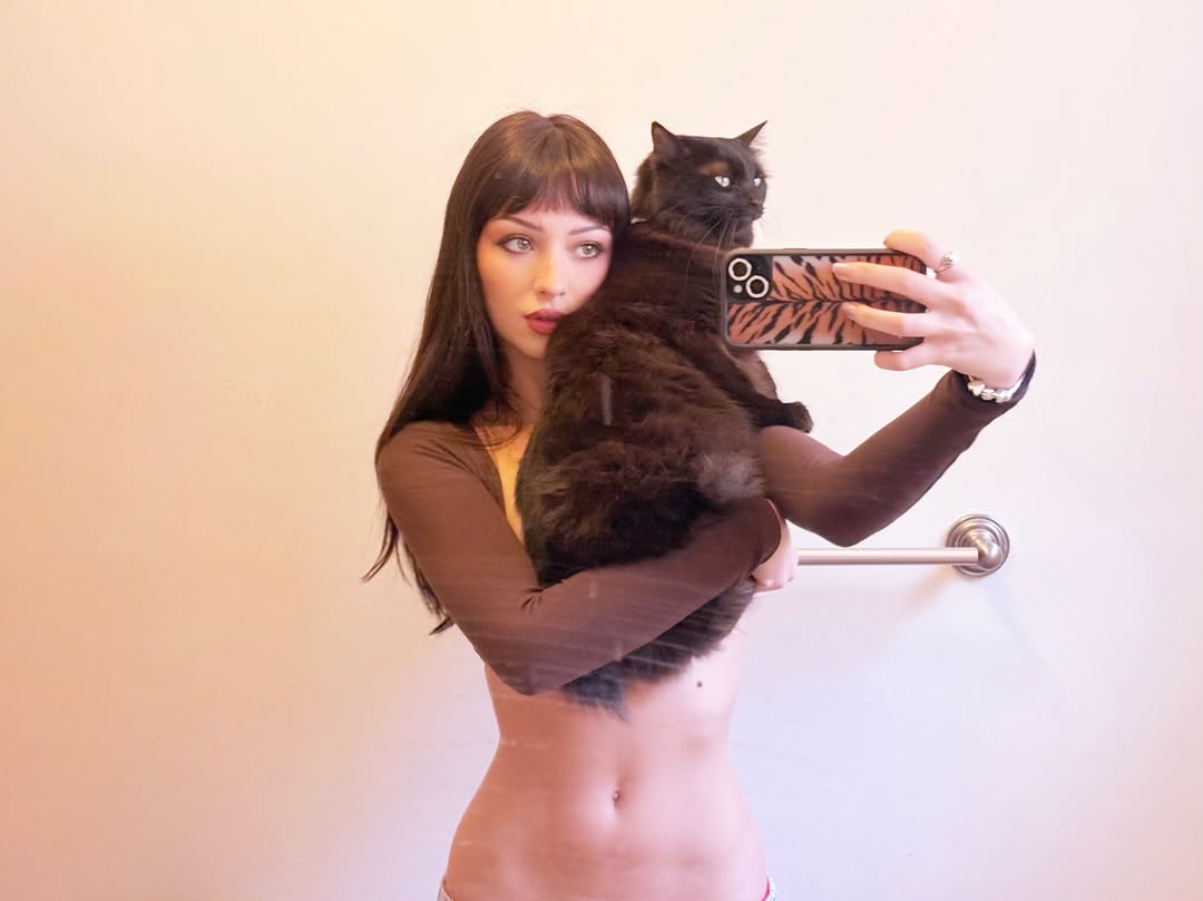 bee 🐝 tweet media