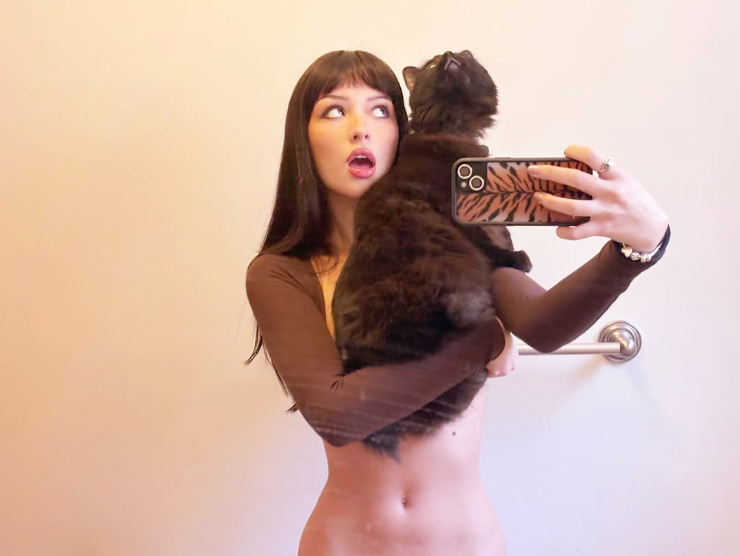 bee 🐝 tweet media