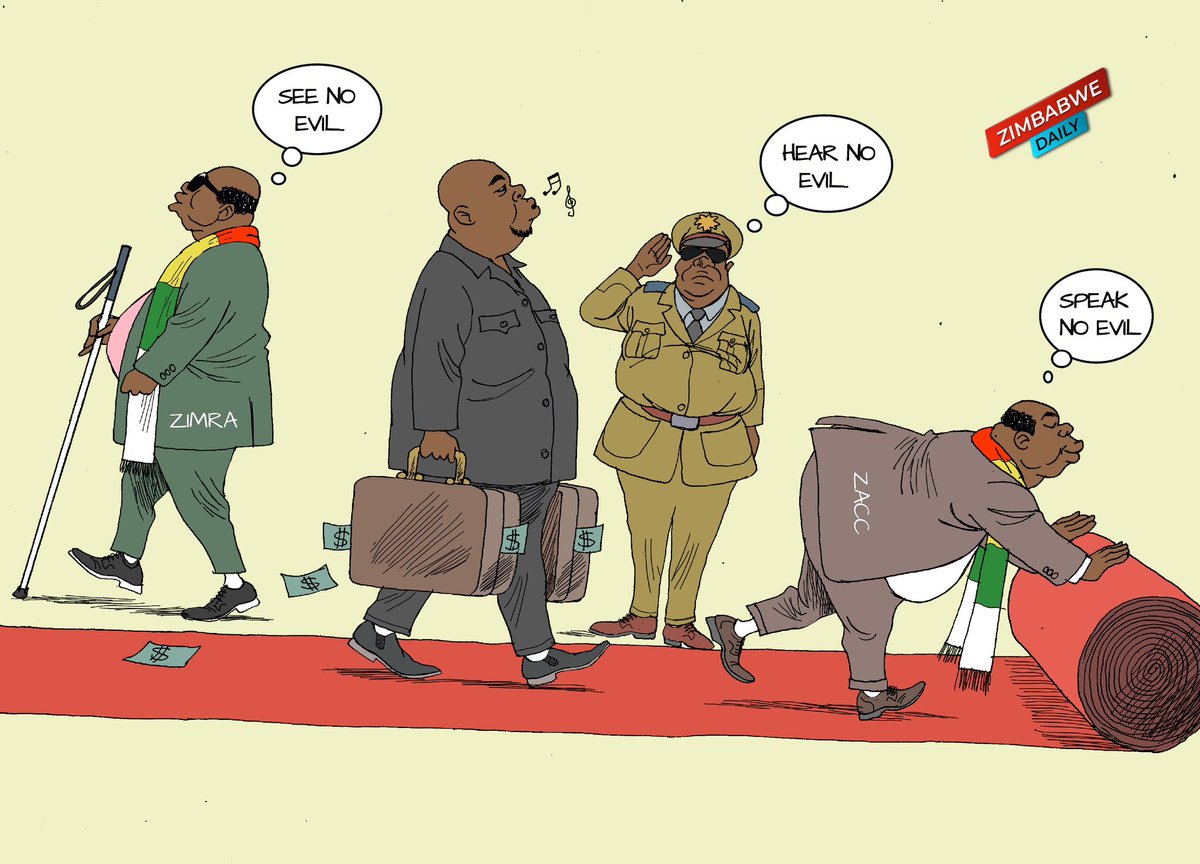 zimDaily tweet media
