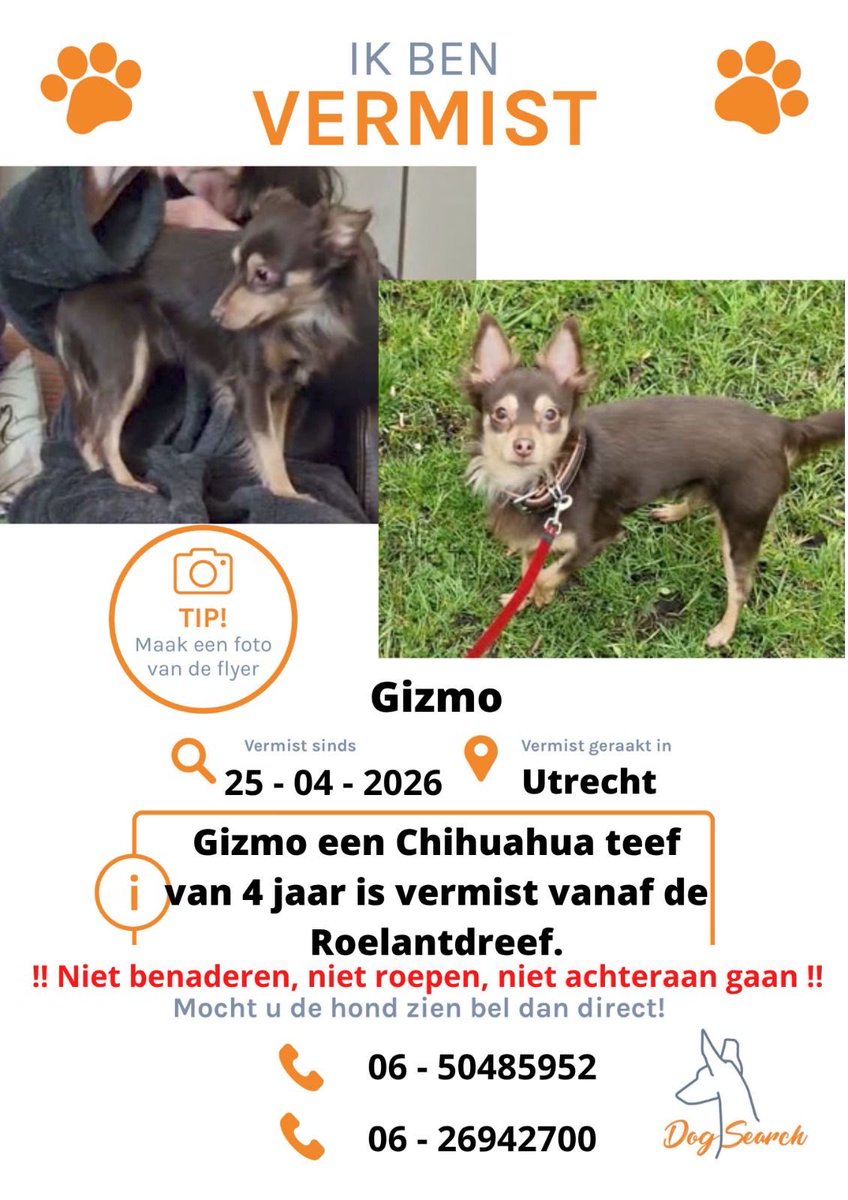 Dogsearch Nederland tweet media