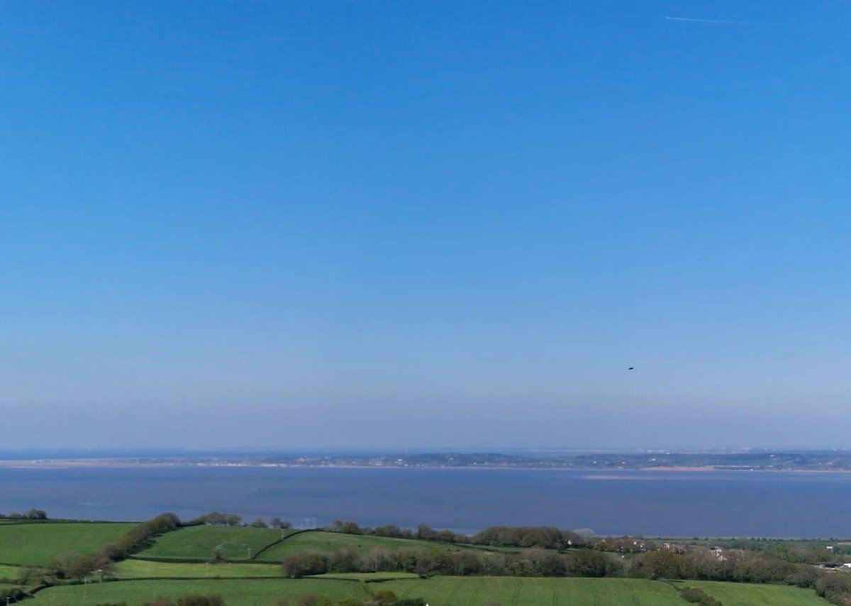 Horse Sense Wirral Charity #1152111 tweet media