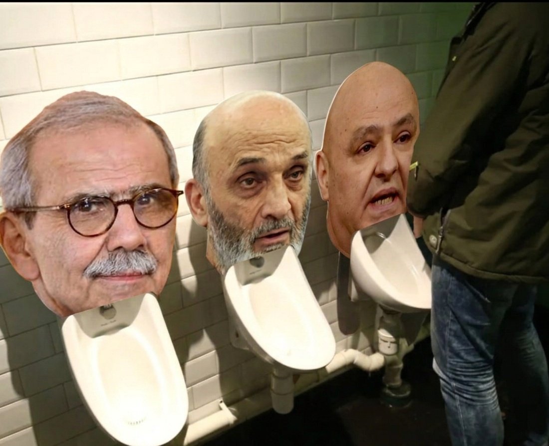 Blue Wolf6 tweet media