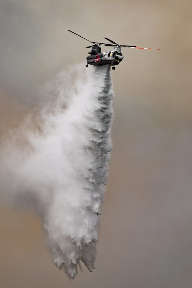 LACoFD tweet media