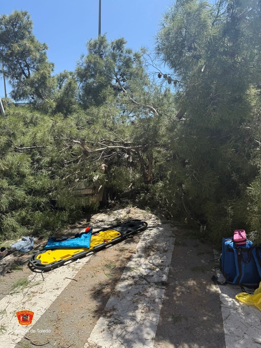 📍 Asistencia técnica 🌳⛑️Argés

Actuación por caída de árbol de grandes dimensiones.

Se realiza rescate de persona atrapada en colaboración con SESCAM y Guardia Civil.
Finalizado el rescate, se procede a la tala controlada.

🚒 #CPEISToledo #Bomberos  #Emergencias #112CLM