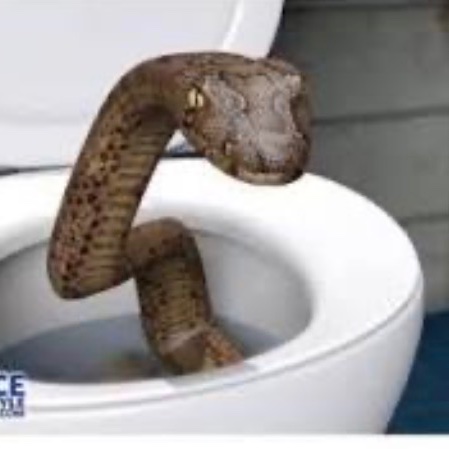 الحربي السعودي tweet media