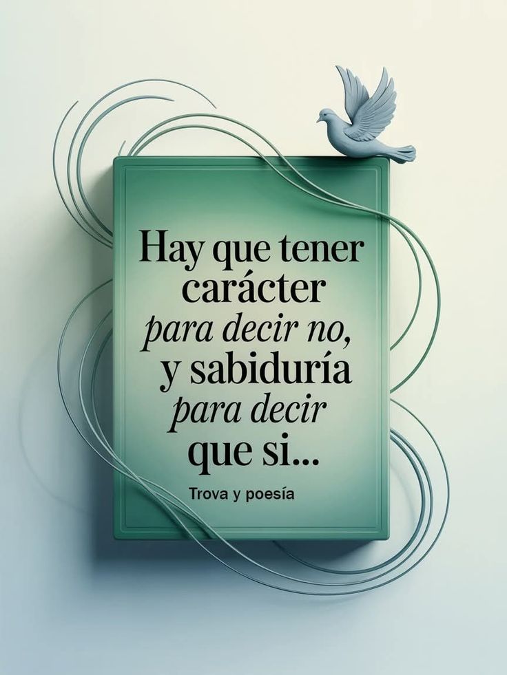 📌
👇👇👇