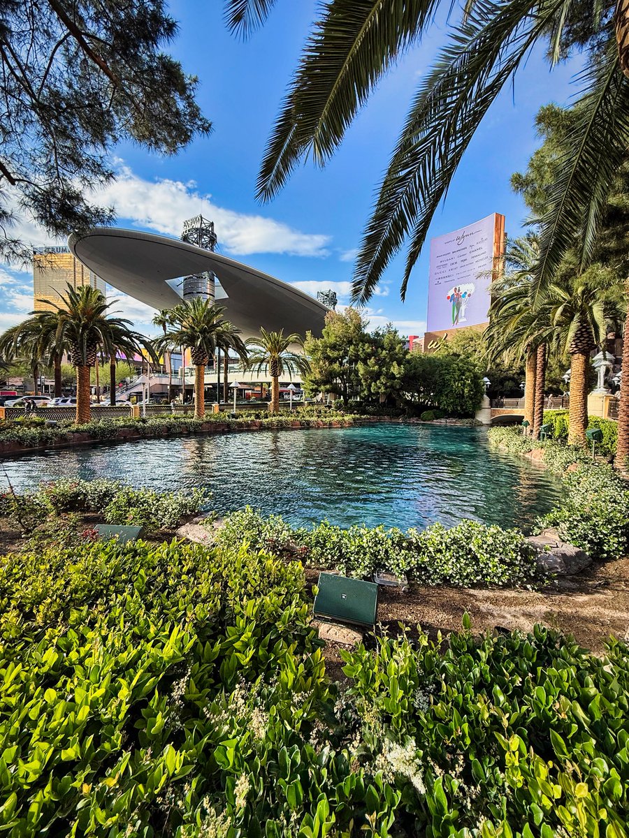 crownxp's tweet photo. Out here where the Strip meets sats. #BitcoinConference https://t.co/DpbQzRorxw