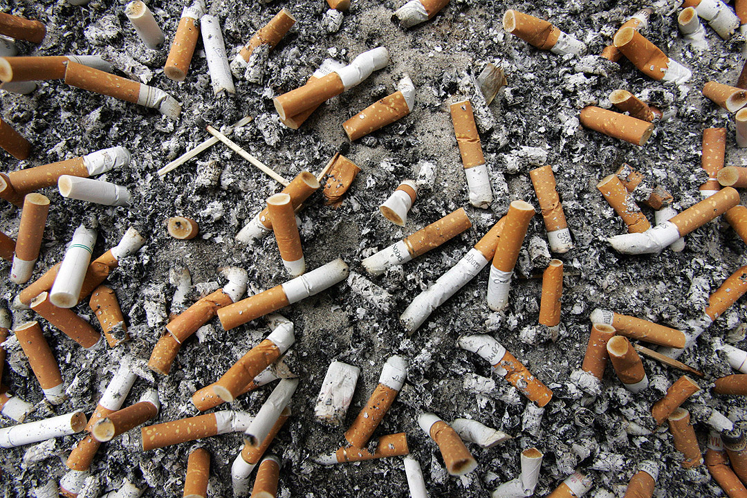 giveashitnature's tweet photo. One cigarette butt can ruin up to 1,000 liters of water.

They leach nicotine, heavy metals, polycyclic aromatic hydrocarbons, and microplastics into soil and water for years after they're flicked into a gutter. 

The filters are made of cellulose acetate, which is a plastic. They don't biodegrade.

About 4.5 trillion of them get littered globally every year. They're the most-littered item on Earth.

If you see one and it doesn't gross you out, picking it up takes two seconds. 

A used coffee cup with a plastic lid works fine as a portable carrier on a walk; toss the contents at the next trash can.

If they do gross you out, no judgment. Some things are jobs for gloves and trash grabbers, not bare hands.

The point isn't that you have to clean up other people's messes. The point is that one butt is more harmful than it looks, and if it's already in your hand or near your foot, it's worth the gesture.

The hands that flicked it aren't coming back to get it.