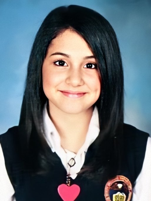 velvetꕤ tweet media