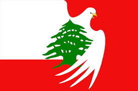 واذا بدك غير العلم اللبناني... هاجِر
#لبنان