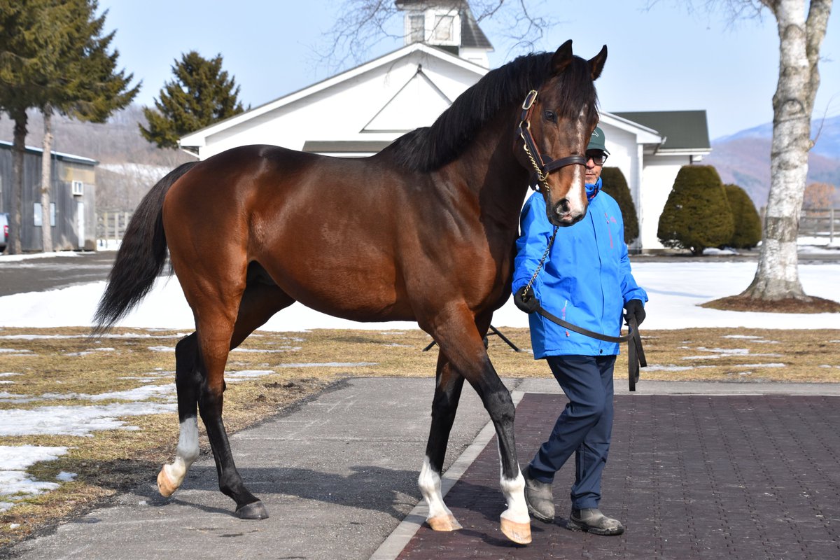 ちひろ tweet media