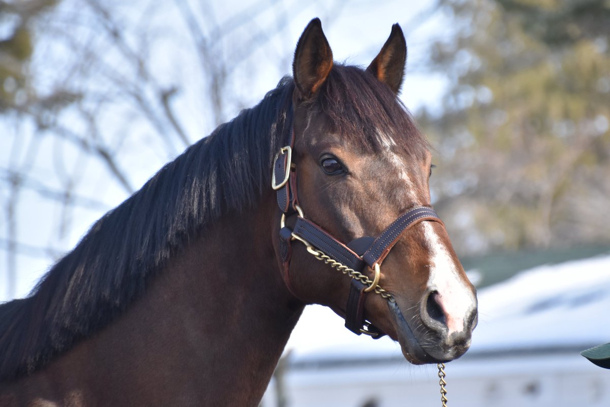 ちひろ tweet media