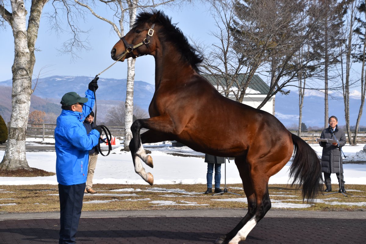 ちひろ tweet media