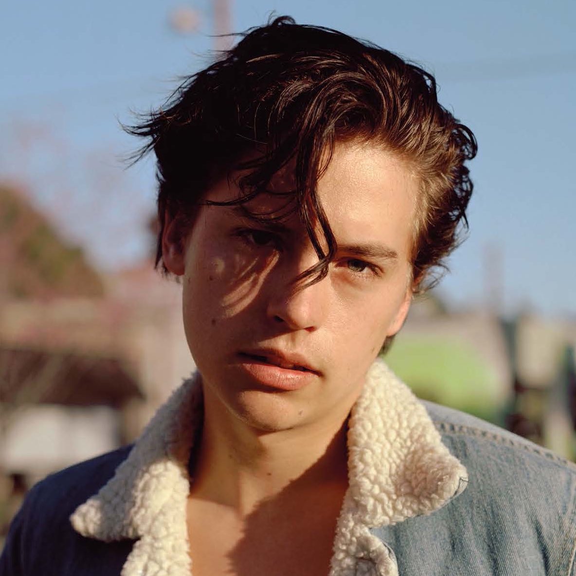 Film Updates tweet media