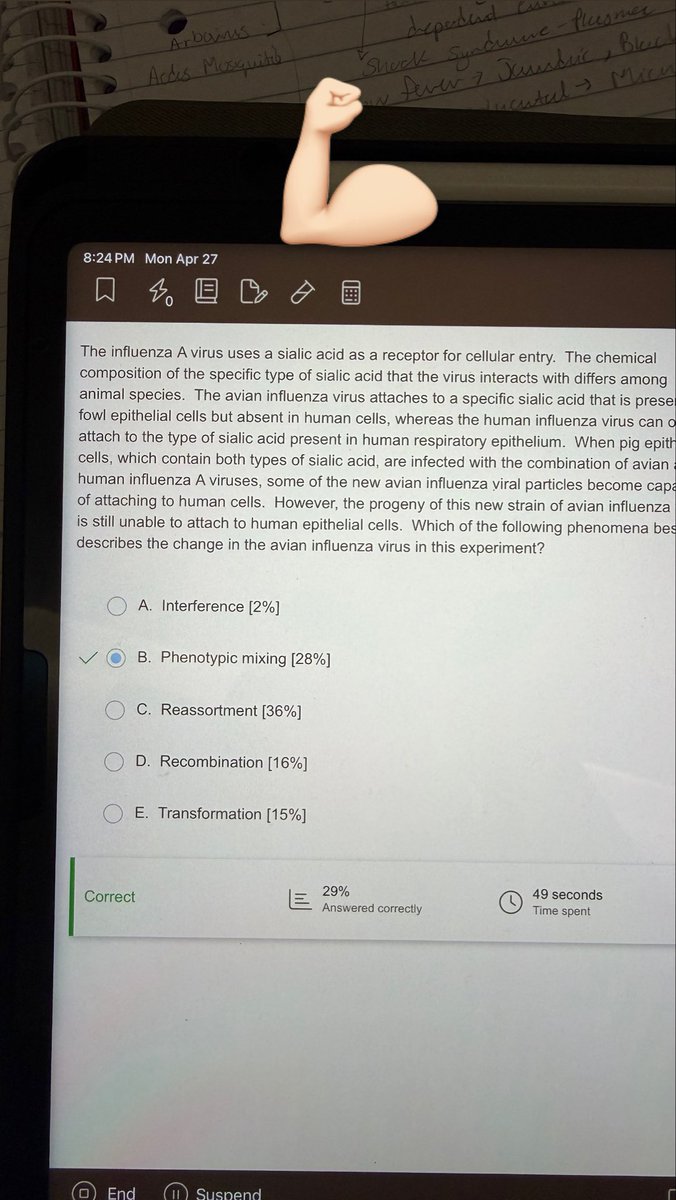 رودينا tweet media