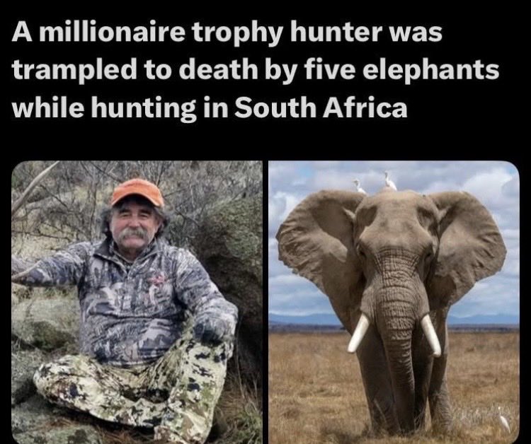 Suzie rizzio tweet media