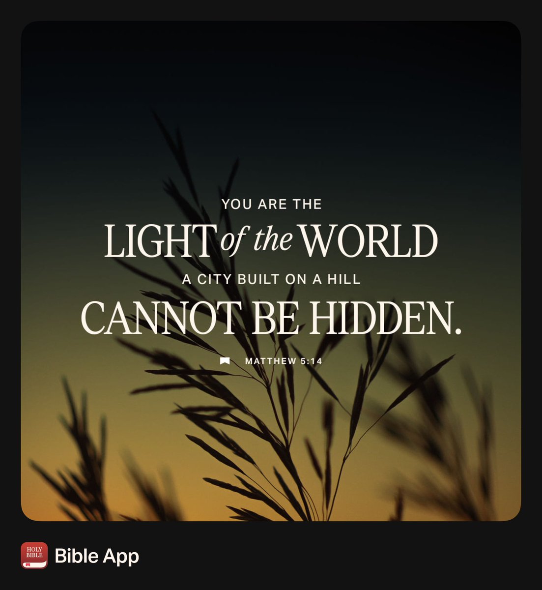 Ryan Peoples tweet media