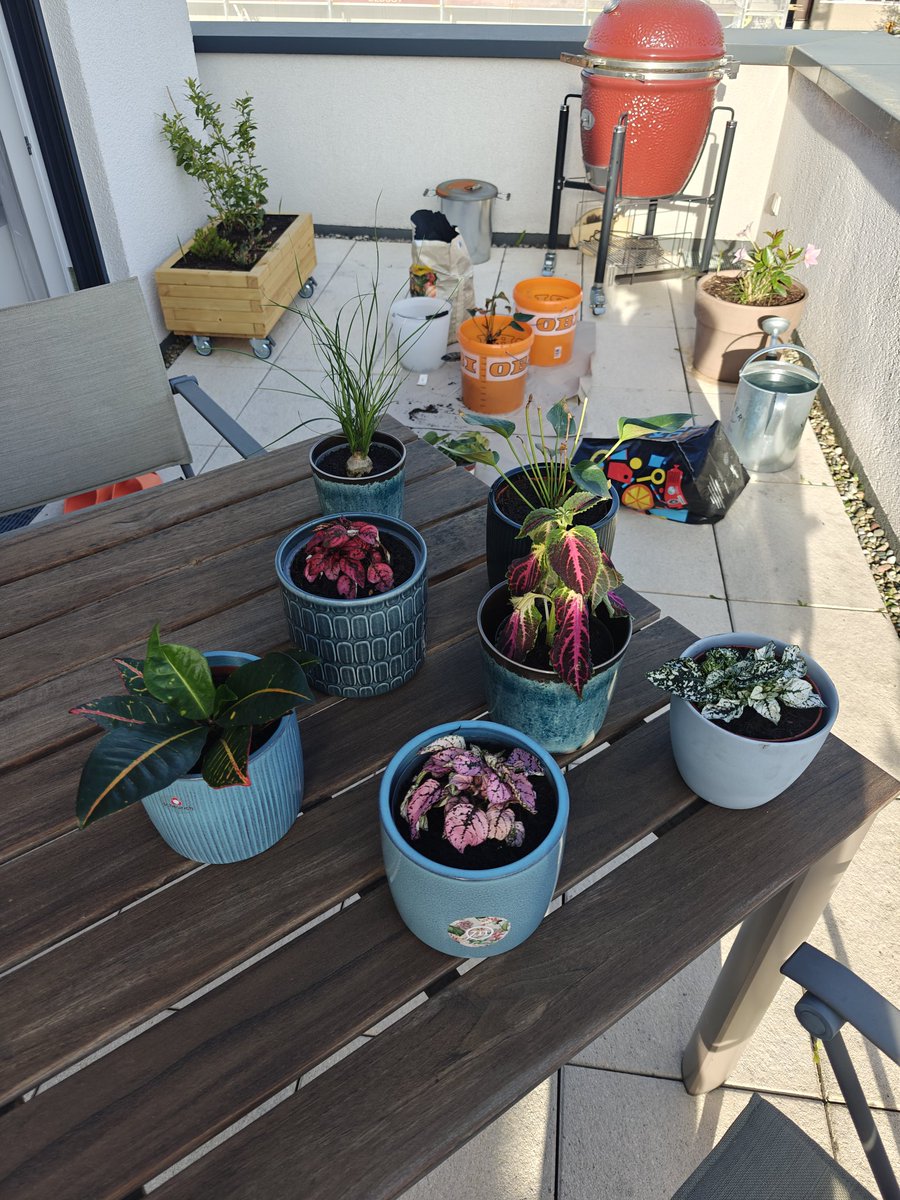 🇩🇪pussy😽bunny🐰🌱🇺🇦 tweet media