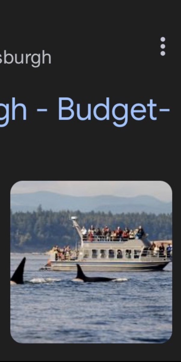 hunterguire's tweet photo. bro lmfao… are they fucking whale watching??? 

in PITTSBURGH????? https://t.co/VddrAhJFaN
