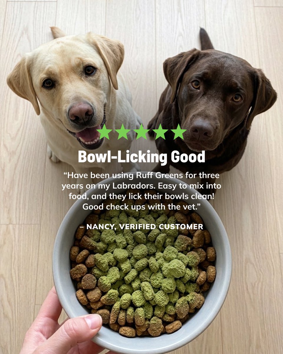 RuffGreens's tweet image. We hear this a lot… dogs suddenly becoming very committed to finishing every last bite 🐾

Sometimes it’s not about changing their food, just what you add to it.

#ruffgreens #dogwellness #happydog #doghealth #petnutrition