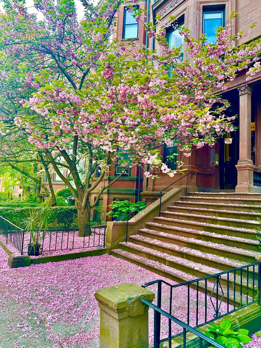 Only In Boston tweet media