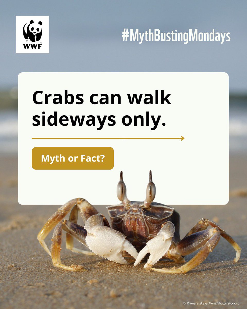 WWF-India tweet media