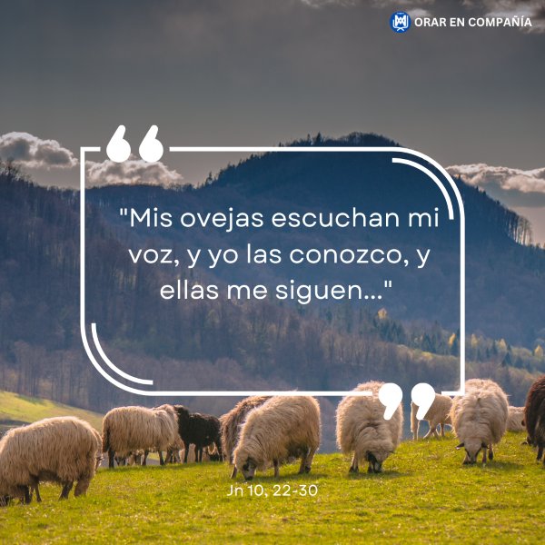ProvinciaPacifico tweet media