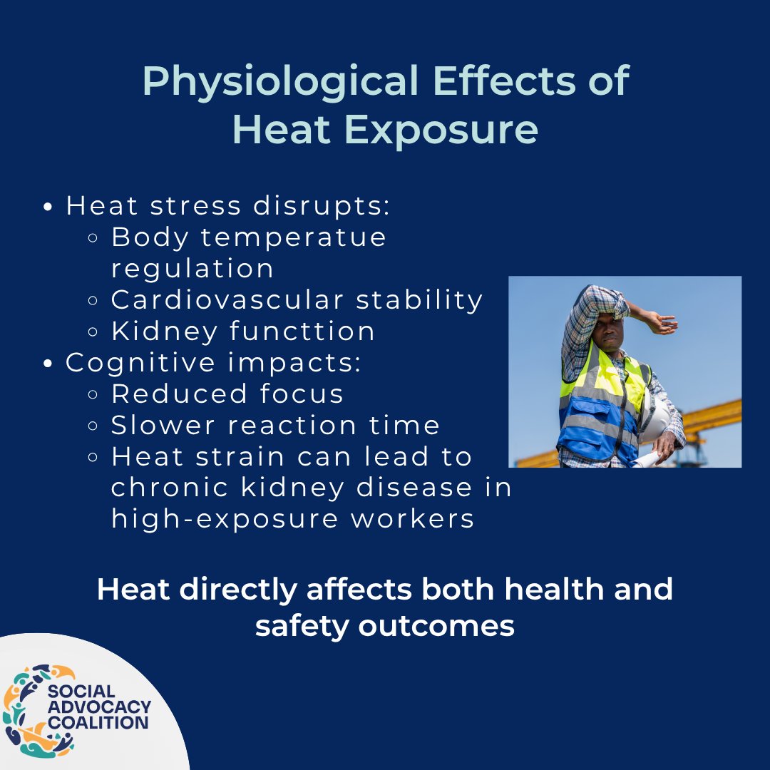 Social Advocacy Coalition tweet media