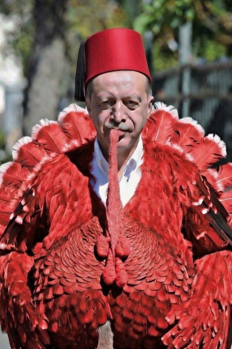 Alex Menotti tweet media