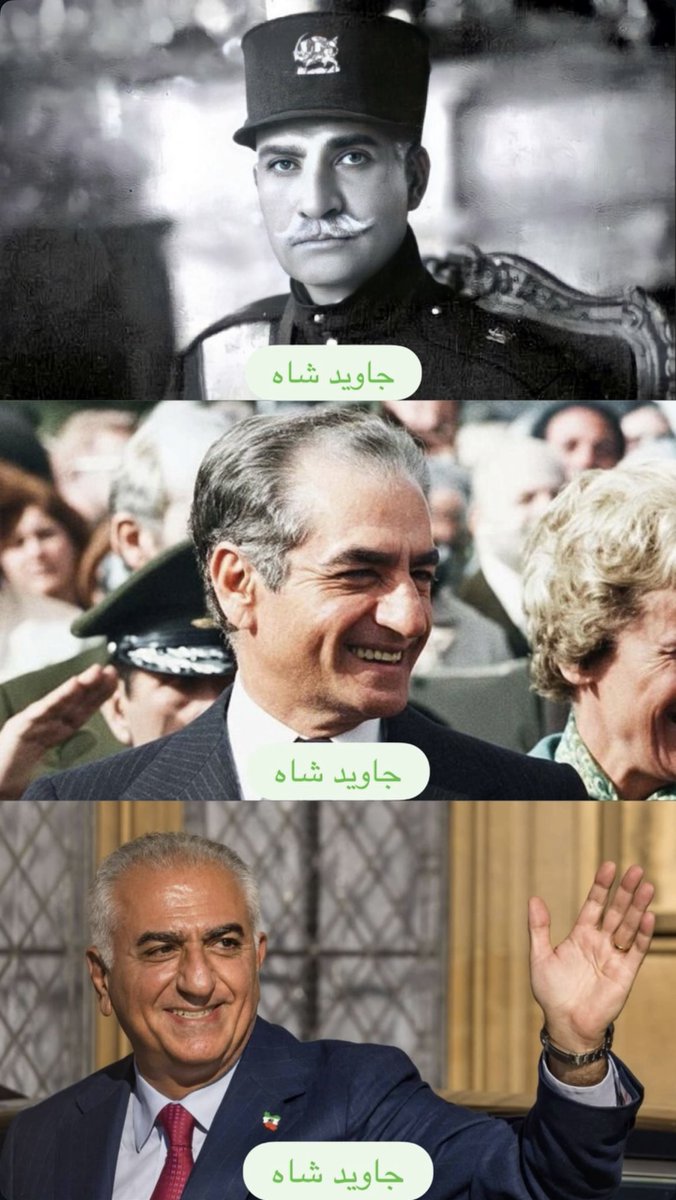 Hamila Seraj 🇮🇷 tweet media