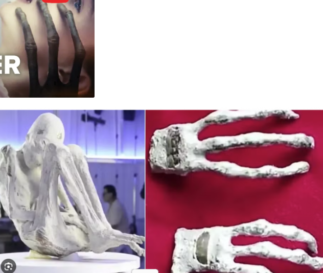 Marcelino Silva de Melo 🇧🇷 tweet media