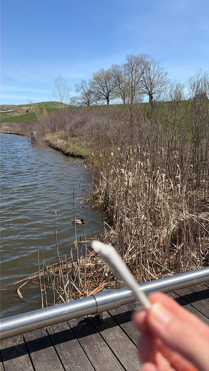 DJZ69Y's tweet image. Good morning 🌳 #smoke