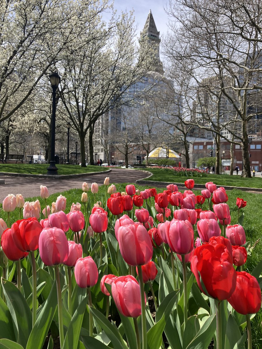 Only In Boston tweet media