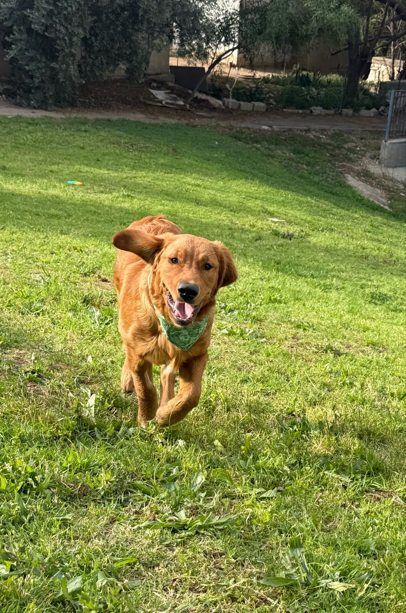 Paz Lejfer || Recruitment Specialist 👩‍💻 tweet media