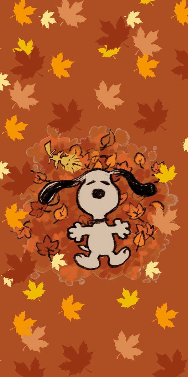 SnoopyFansUS's tweet photo. Snoopy 🍂🍁 https://t.co/dEVS2Ftb6X