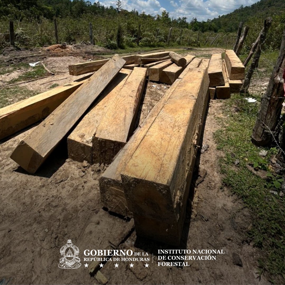 Instituto Nacional de Conservación Forestal tweet media