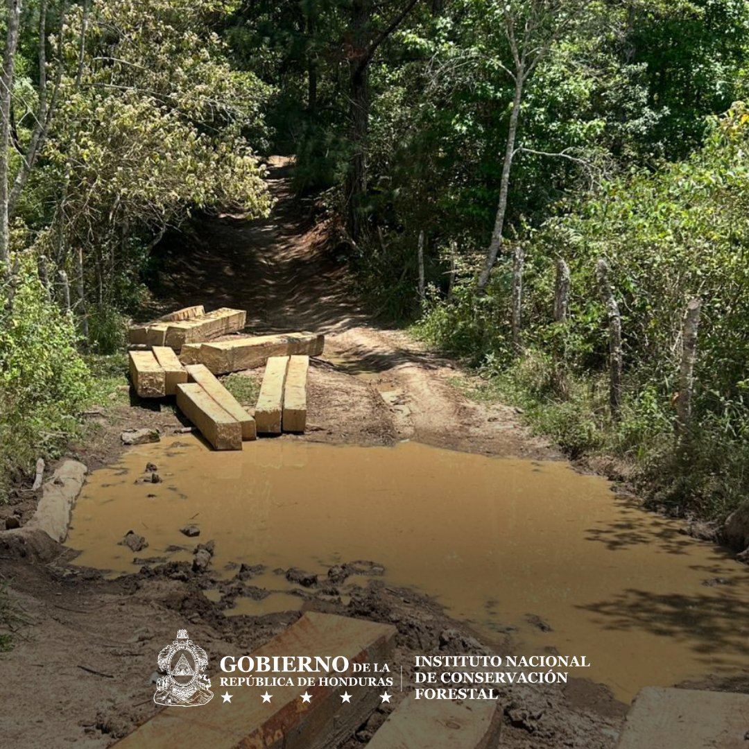 Instituto Nacional de Conservación Forestal tweet media