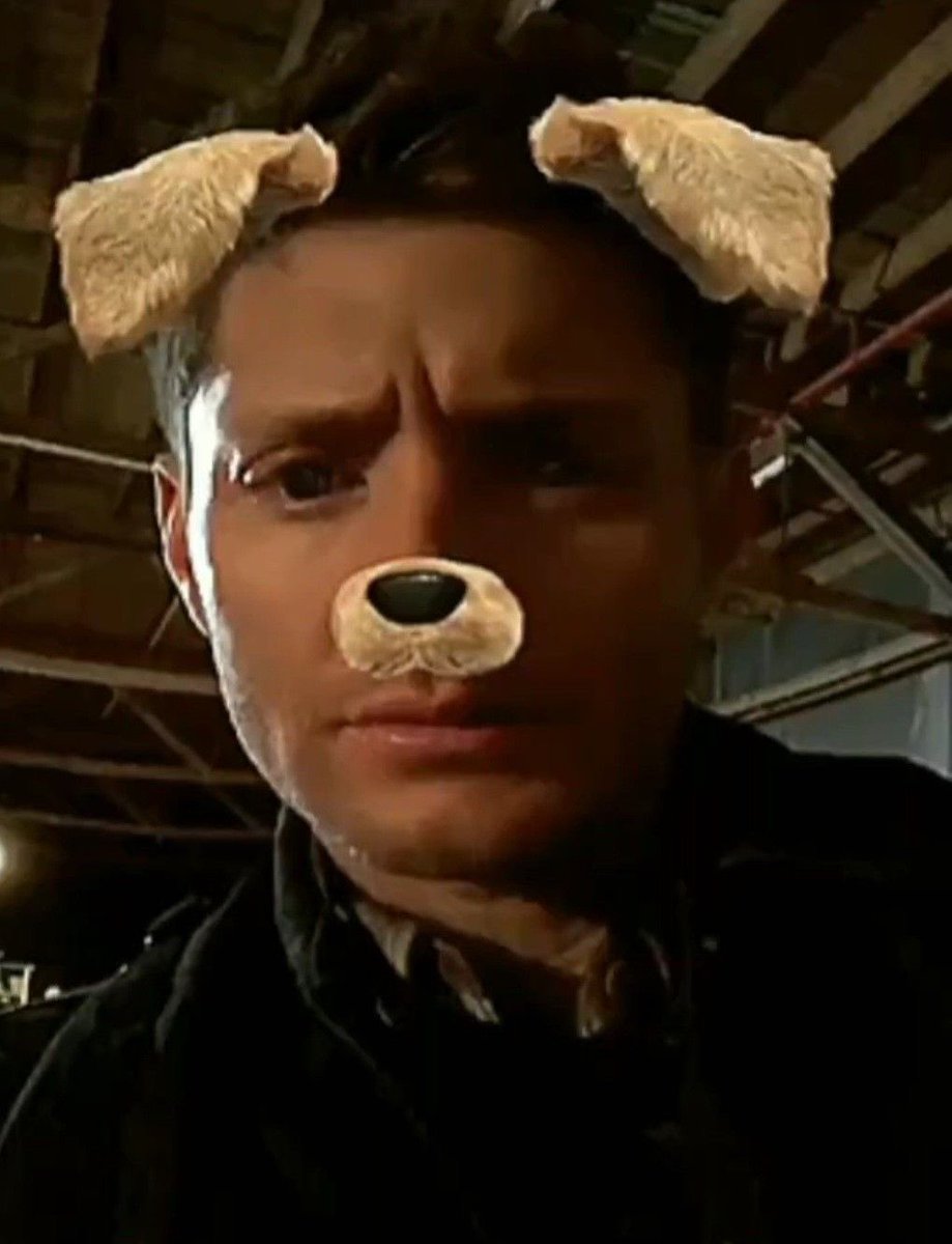 ⁎ˑ𖦹. 𝐇𝐚𝐢𝐥𝐬 .٠✶ tweet media