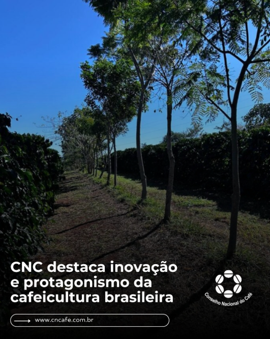 Conselho Nacional do Café - CNC tweet media