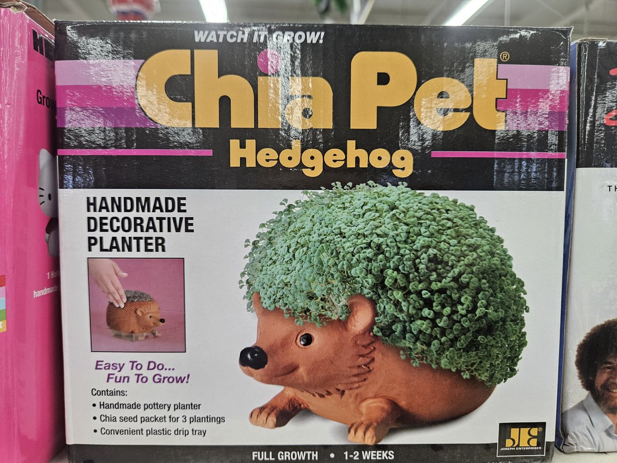 AnimalPlushWorl's tweet image. Remember this i think you should #chiapet