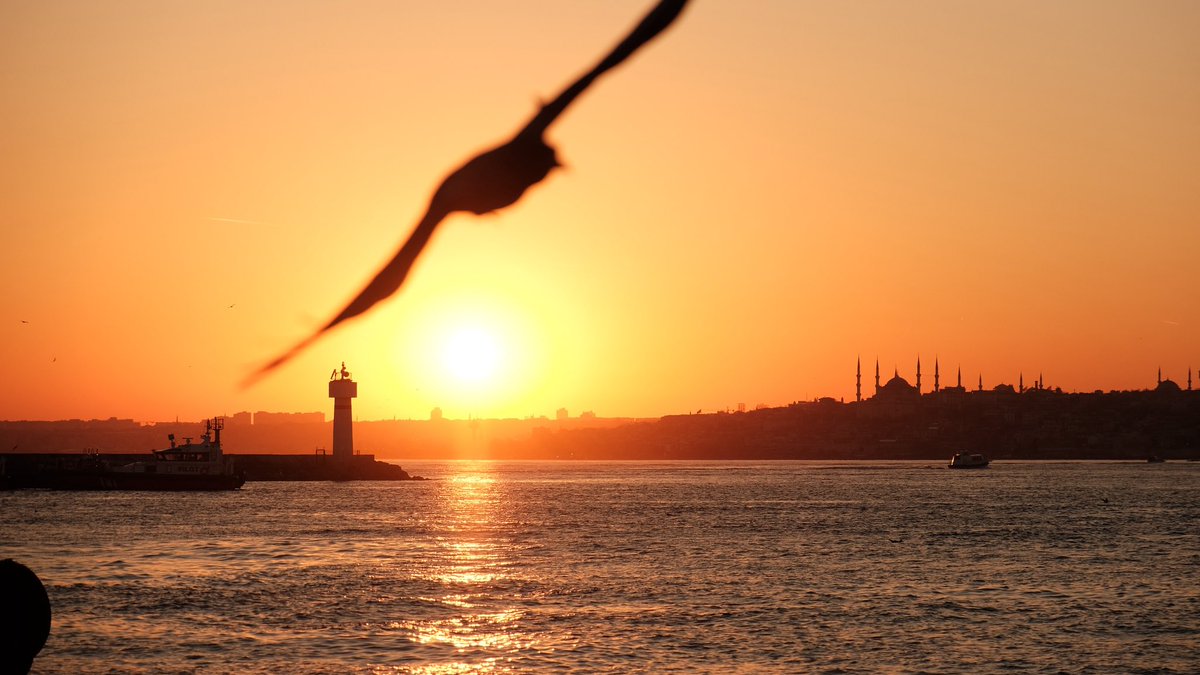 Rahime Gül tweet media