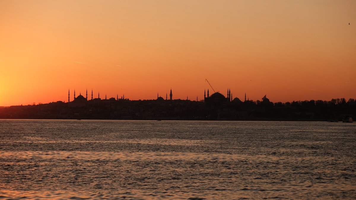 Rahime Gül tweet media