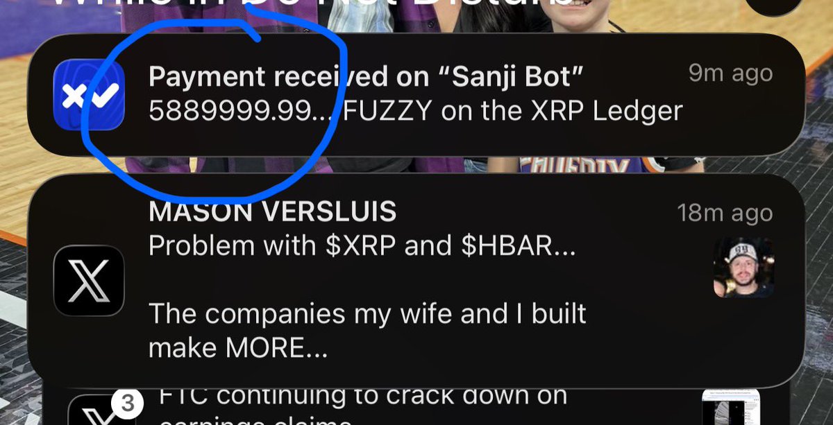 MASON VERSLUIS tweet media